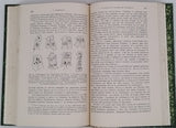 [Mycologie] [Recueil factice de deux tirés-à-part] VUILLEMIN Paul "Les bases actuelles de la systématique en mycologie" et GUILLIERMOND Alexandre "Les progrès de la cytologie des champignons"