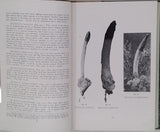 LLOYD Curtis Gates [Mycologie] "Recueil factice de 5 textes mycologiques publiés dans The Bulletin of the Lloyd Library"