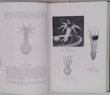 LLOYD Curtis Gates [Mycologie] "Recueil factice de 5 textes mycologiques publiés dans The Bulletin of the Lloyd Library"