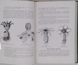 LLOYD Curtis Gates [Mycologie] "Recueil factice de 5 textes mycologiques publiés dans The Bulletin of the Lloyd Library"