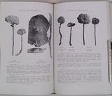 LLOYD Curtis Gates [Mycologie] "Recueil factice de 5 textes mycologiques publiés dans The Bulletin of the Lloyd Library"