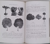 LLOYD Curtis Gates [Mycologie] "Recueil factice de 5 textes mycologiques publiés dans The Bulletin of the Lloyd Library"