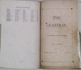 LLOYD Curtis Gates [Mycologie] "Recueil factice de 5 textes mycologiques publiés dans The Bulletin of the Lloyd Library"