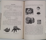 LLOYD Curtis Gates [Mycologie] "Recueil factice de 5 textes mycologiques publiés dans The Bulletin of the Lloyd Library"