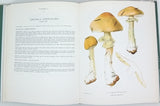 ROMAGNESI Henri "Nouvel atlas des champignons publié sous les auspices de la Société mycologique de France" Tome III seul