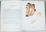 ROMAGNESI Henri "Nouvel atlas des champignons publié sous les auspices de la Société mycologique de France" Tome III seul