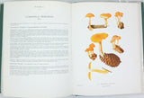 ROMAGNESI Henri "Nouvel atlas des champignons publié sous les auspices de la Société mycologique de France" Tome III seul