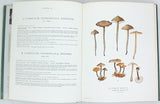 ROMAGNESI Henri "Nouvel atlas des champignons publié sous les auspices de la Société mycologique de France" Tome IV seul