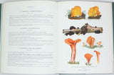 ROMAGNESI Henri "Nouvel atlas des champignons publié sous les auspices de la Société mycologique de France" Tome IV seul