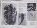 De CAYEUX André [Collaboration DÉSIRÉ Charles] "La science de la Terre"