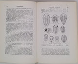 MORET Léon "Manuel de Paléontologie animale"