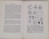 MORET Léon "Manuel de Paléontologie animale"