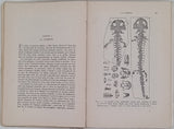 LEWINSOHN Richard "Histoire des animaux - Leur influence sur la civilisation humaine"