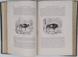 BUFFON Georges-Louis de, LACÉPÈDE Bernard de "Histoire naturelle extraite de Buffon et de Lacépède - Quadrupèdes, Oiseaux, Serpents, Poissons et Cétacés avec de nombreuses illustrations dans le texte"