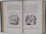 BUFFON Georges-Louis de, LACÉPÈDE Bernard de "Histoire naturelle extraite de Buffon et de Lacépède - Quadrupèdes, Oiseaux, Serpents, Poissons et Cétacés avec de nombreuses illustrations dans le texte"