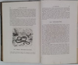 BUFFON Georges-Louis de, LACÉPÈDE Bernard de "Histoire naturelle extraite de Buffon et de Lacépède - Quadrupèdes, Oiseaux, Serpents, Poissons et Cétacés avec de nombreuses illustrations dans le texte"