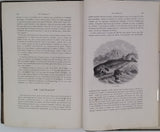 BUFFON Georges-Louis de, LACÉPÈDE Bernard de "Histoire naturelle extraite de Buffon et de Lacépède - Quadrupèdes, Oiseaux, Serpents, Poissons et Cétacés avec de nombreuses illustrations dans le texte"