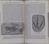 D'ORBIGNY Alcide "Cours élémentaire de Paléontologie et de Géologie stratigraphiques" [Volumes 1 & 2 sur 3]