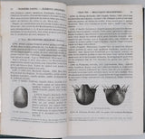 D'ORBIGNY Alcide "Cours élémentaire de Paléontologie et de Géologie stratigraphiques" [Volumes 1 & 2 sur 3]