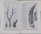 D'ORBIGNY Alcide "Cours élémentaire de Paléontologie et de Géologie stratigraphiques" [Volumes 1 & 2 sur 3]