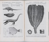 D'ORBIGNY Alcide "Cours élémentaire de Paléontologie et de Géologie stratigraphiques" [Volumes 1 & 2 sur 3]