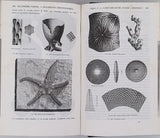 D'ORBIGNY Alcide "Cours élémentaire de Paléontologie et de Géologie stratigraphiques" [Volumes 1 & 2 sur 3]