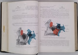 ROUVIÈRE Henri "Anatomie humaine, descriptive et topographique - Tome I : Tête, cou et tronc - Tome II : Membres, Système nerveux central" [complet en 2 volumes]