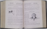 ROUVIÈRE Henri "Anatomie humaine, descriptive et topographique - Tome I : Tête, cou et tronc - Tome II : Membres, Système nerveux central" [complet en 2 volumes]