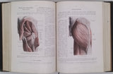 ROUVIÈRE Henri "Anatomie humaine, descriptive et topographique - Tome I : Tête, cou et tronc - Tome II : Membres, Système nerveux central" [complet en 2 volumes]