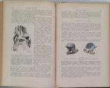 TESTUT Léo "Traité d'anatomie humaine" [4 Volumes]