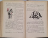 TESTUT Léo "Traité d'anatomie humaine" [4 Volumes]