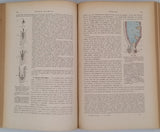 TESTUT Léo "Traité d'anatomie humaine" [4 Volumes]