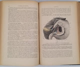 TESTUT Léo "Traité d'anatomie humaine" [4 Volumes]