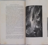 FIGUIER Louis "La Terre avant le Déluge"