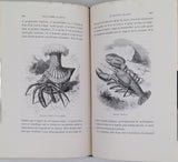 MANGIN Arthur "Les Mystères de l'Océan"