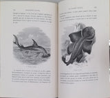 MANGIN Arthur "Les Mystères de l'Océan"