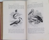 MANGIN Arthur "Les Mystères de l'Océan"