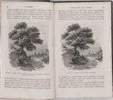 MOITESSIER Albert "La Lumière"