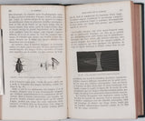 MOITESSIER Albert "La Lumière"