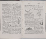 RICH Anthony "Dictionnaire des antiquités romaines et grecques - Accompagné de 2000 gravures d'après l'Antique représentant tous les objets de divers usages d'art et d'industrie des Grecs et des Romains"