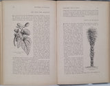 BELLET Daniel "Dernières inventions - Dernières découvertes"