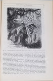 BREHM Alfred Edmund "MERVEILLES DE LA NATURE - LA TERRE, LES MERS ET LES CONTINENTS - GÉOGRAPHIE PHYSIQUE, GEOLOGIE ET MINERALOGIE"