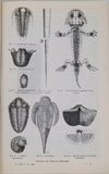 BREHM Alfred Edmund "MERVEILLES DE LA NATURE - LA TERRE, LES MERS ET LES CONTINENTS - GÉOGRAPHIE PHYSIQUE, GEOLOGIE ET MINERALOGIE"