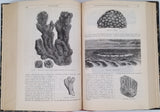 BREHM Alfred Edmund "MERVEILLES DE LA NATURE - LA TERRE, LES MERS ET LES CONTINENTS - GÉOGRAPHIE PHYSIQUE, GEOLOGIE ET MINERALOGIE"