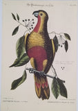 CATESBY Mark [ill. Jean-Michel SELIGMANN] "RECUEIL DE DIVERS OISEAUX ÉTRANGERS ET PEU COMMUNS QUI SE TROUVENT DANS LES OUVRAGES DE MONSIEUR CATESBY"