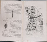 GIRARD Maurice "Les Métamorphoses des Insectes"