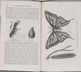 GIRARD Maurice "Les Métamorphoses des Insectes"