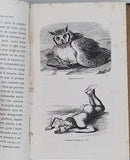 BAINES Thomas "VOYAGES DANS LE SUD OUEST DE L'AFRIQUE ou Récits d'explorations faite en 1861 et 1862 depui la baie de Valfich jusqu'aux chutes Victoria"