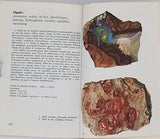 KOURIMSKY Jiri [ill. PROS Ladislav] "MINERAUX Atlas illustré"