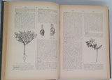 PIZZETA Jules "DICTIONNAIRE POPULAIRE ILLUSTRÉ D'HISTOIRE NATURELLE"